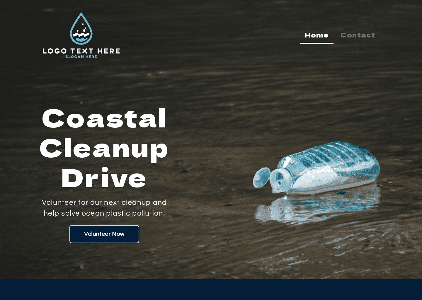 Coastal Cleanup Drive Website Preview