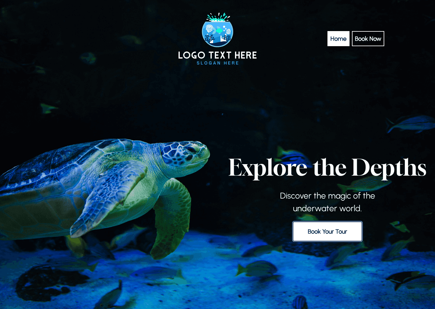 Marine Aquarium Tour Website Preview