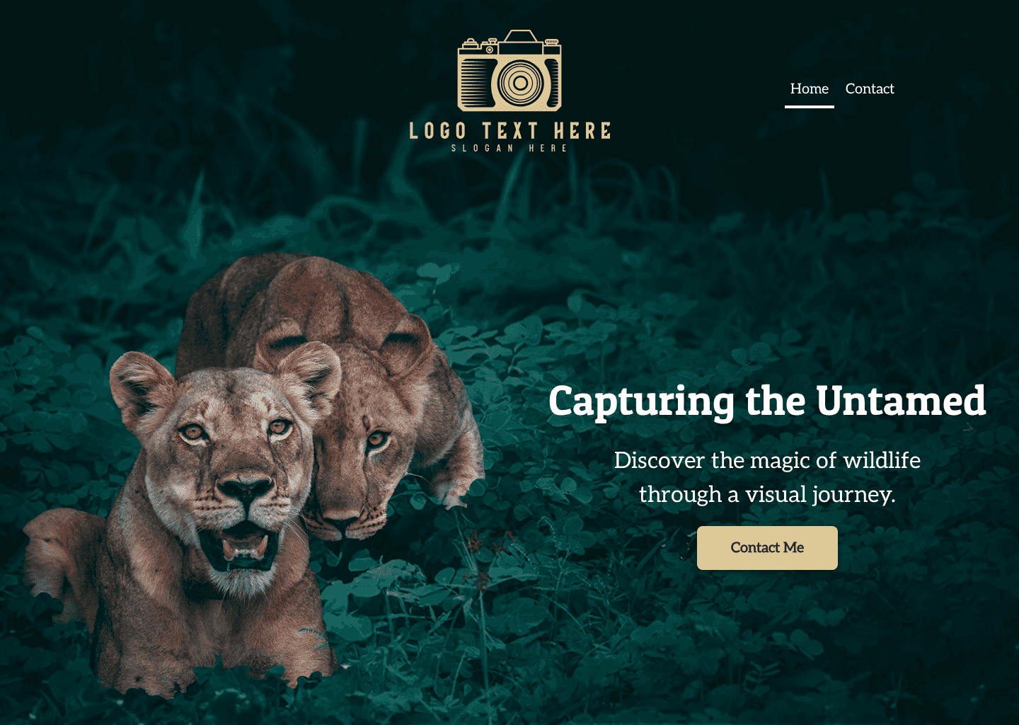 Wildlife Photographer Portfolio Website Preview