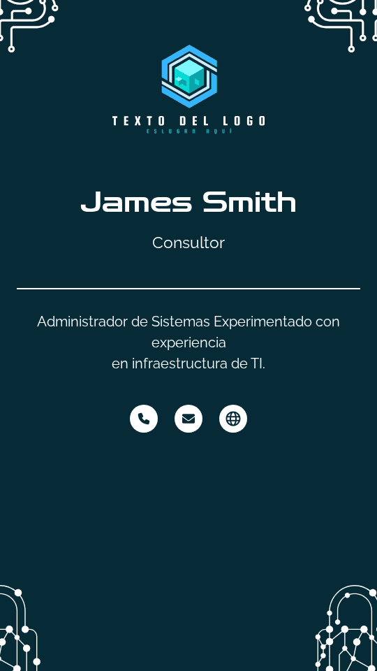 Consultor de Administrador de Sistemas Digital Business Card