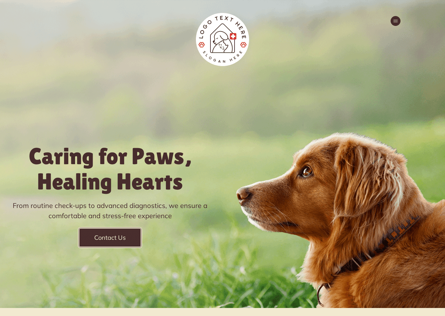 Pet Health Veterinary Website Preview