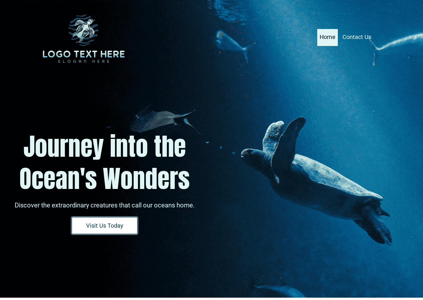 Ocean Marine Park Website