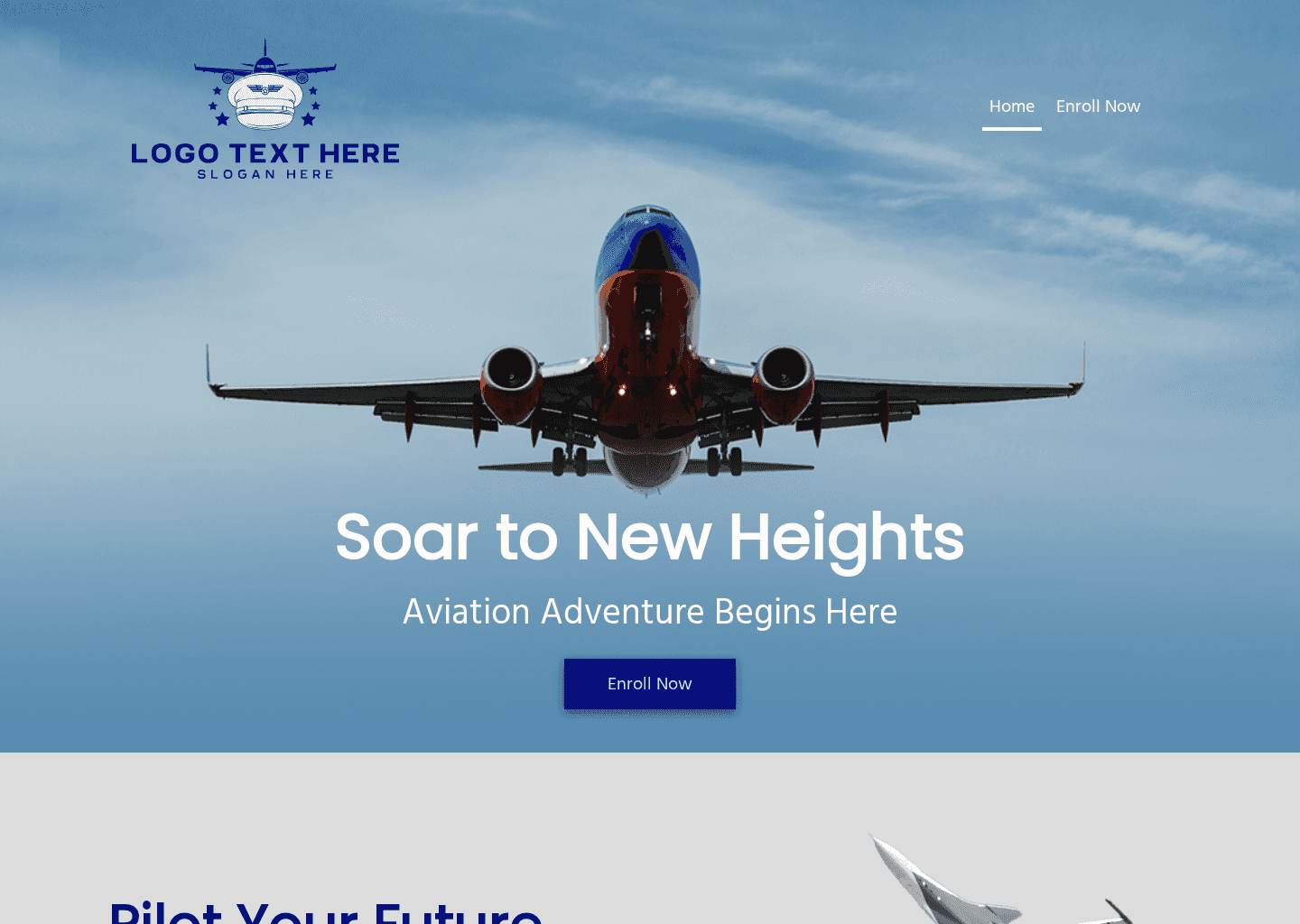 Aviation Pilot Class Website Preview