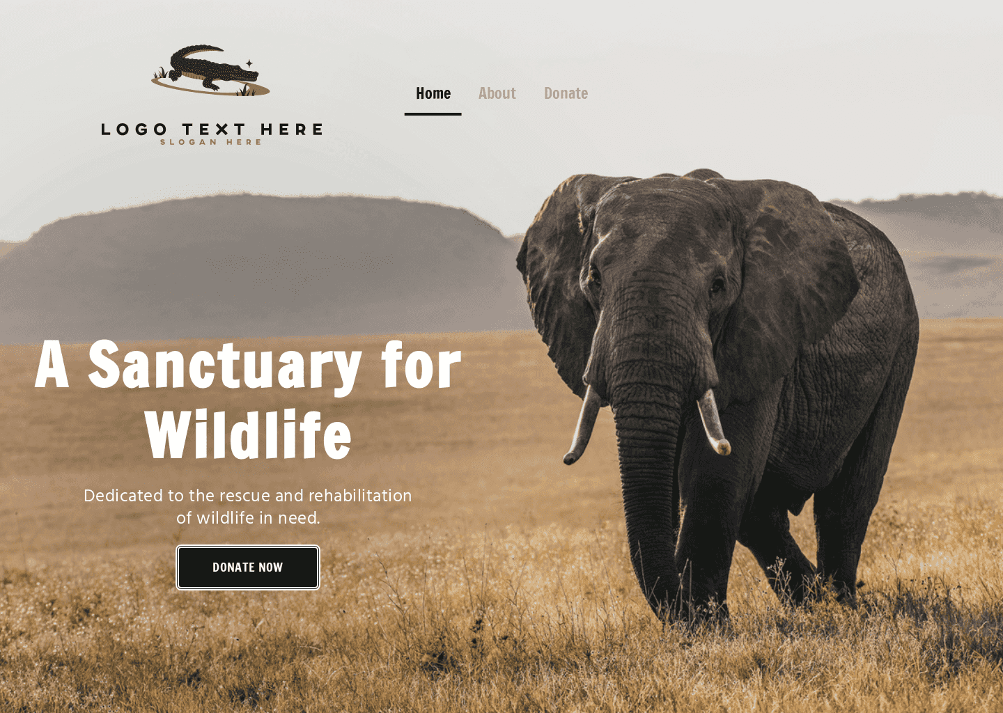 Wildlife Rescue Center Website Preview