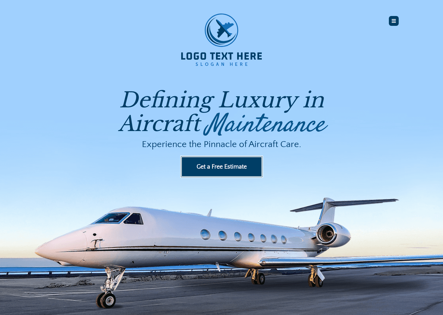 Premium Aircraft Detailing Website Preview