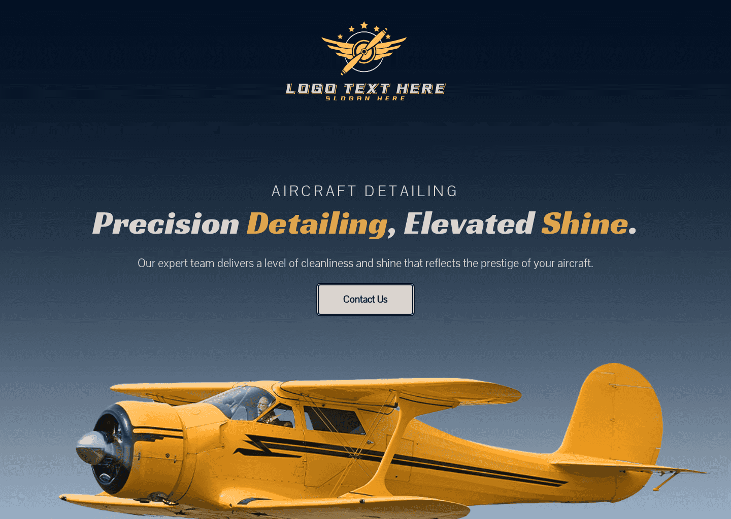 Aviation Detailing Expert Website Preview