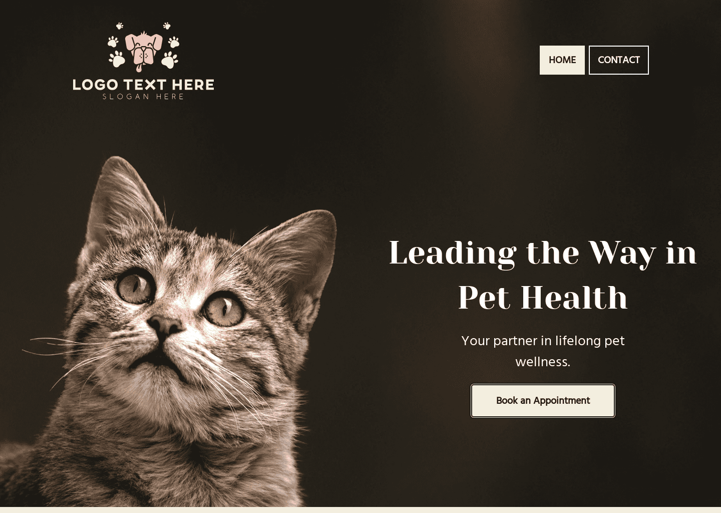 Online Veterinary Clinic Website Preview