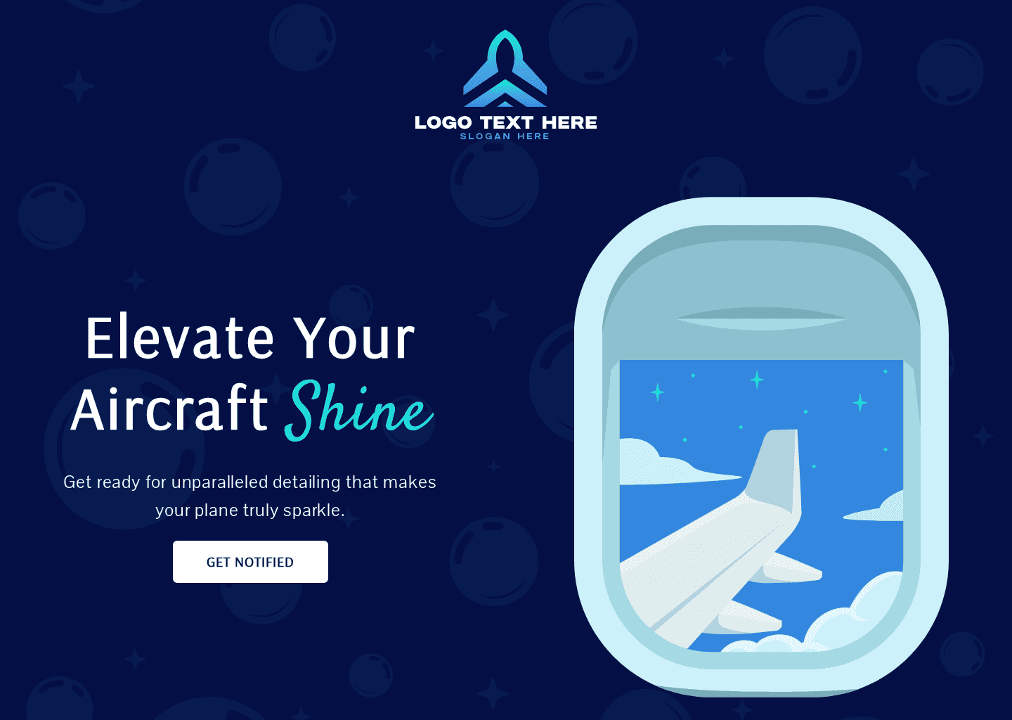 Airplane Detailing Launch Website Preview
