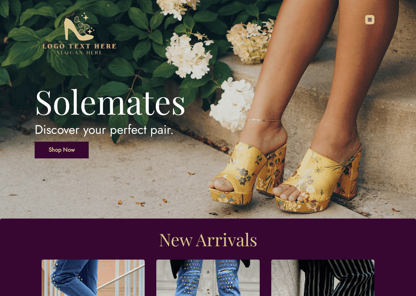 Women's Shoe Shop Website Preview