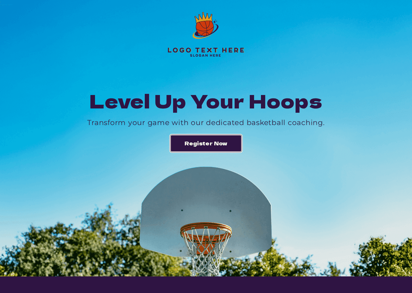 Expert Basketball Coaching Website Preview