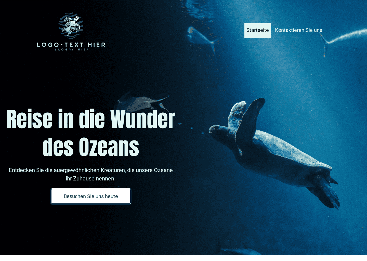 Ozean Marine Park Website Preview