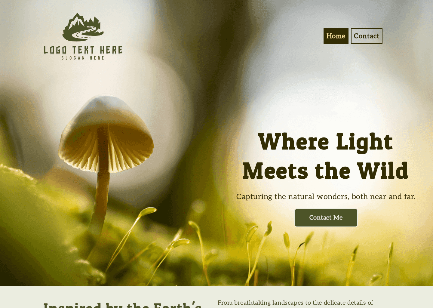 Nature Photography Portfolio Website Preview