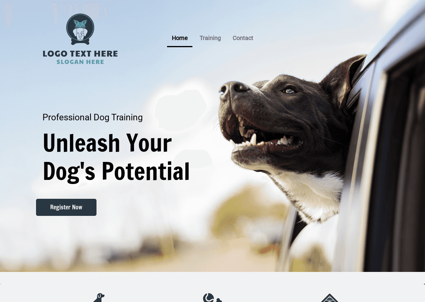 Professional Dog Training Website Design