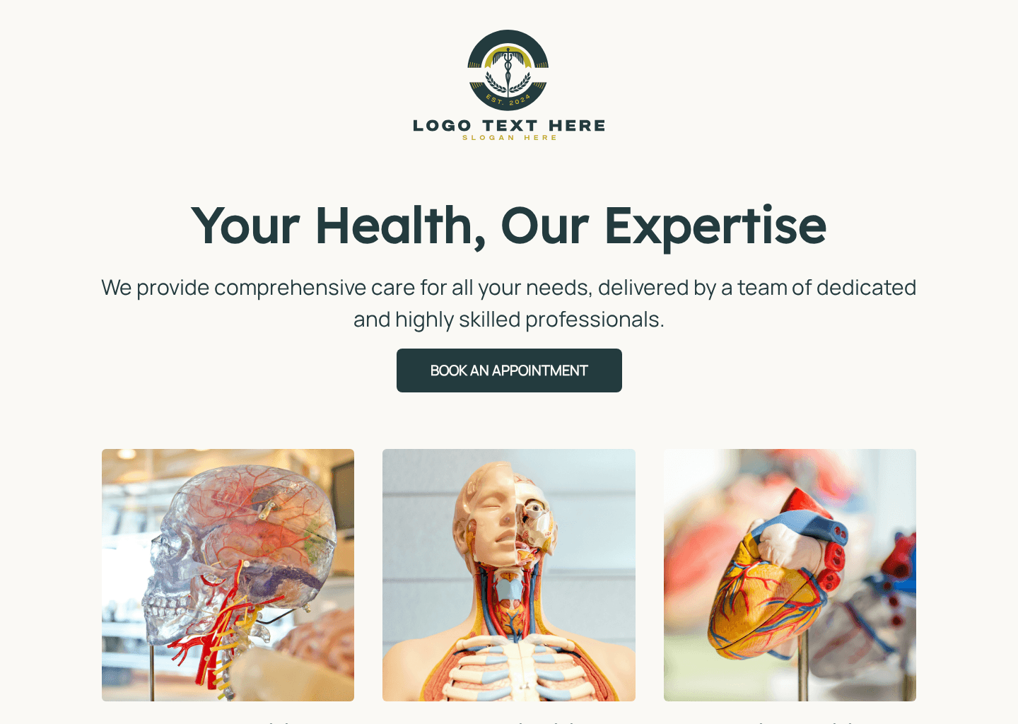 Healthcare Hospital Website Preview