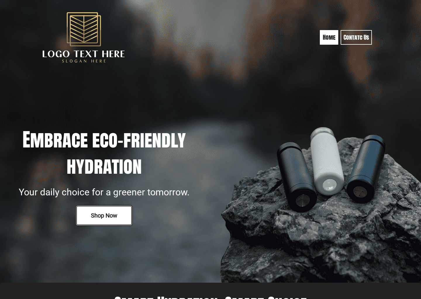 Reusable Water Bottles Website Preview
