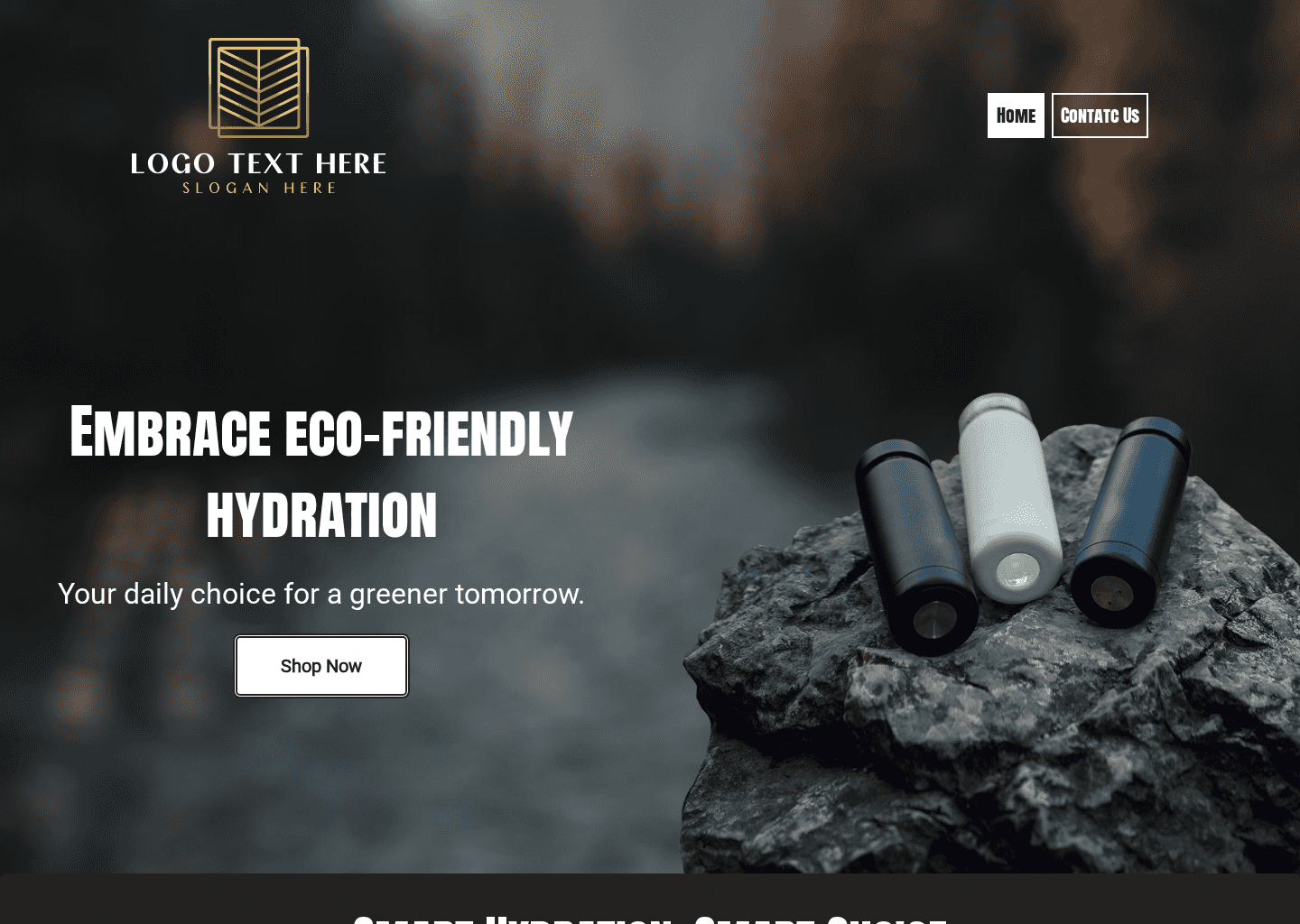 Reusable Water Bottles Website Preview