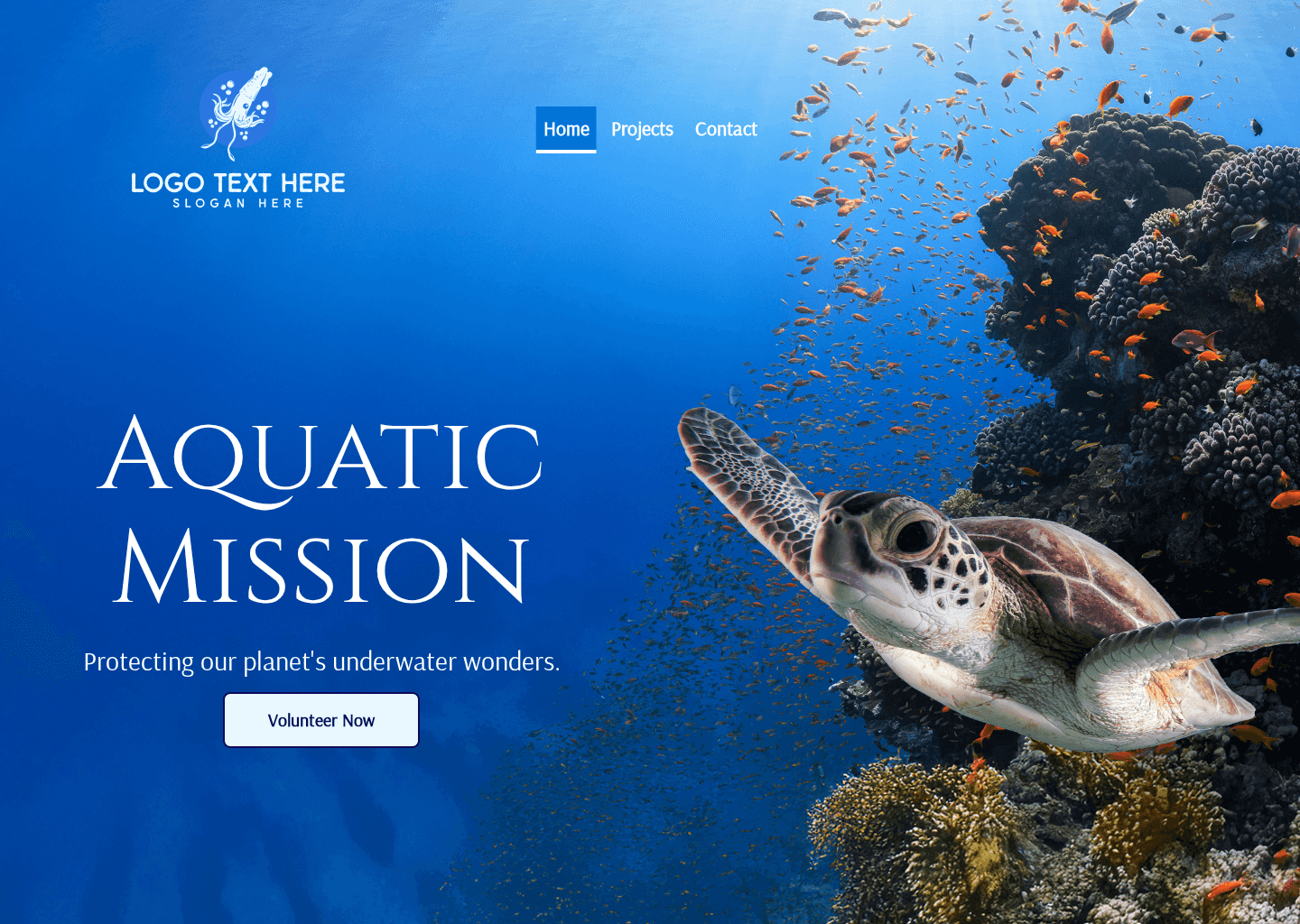 Marine Life Organization Website Preview