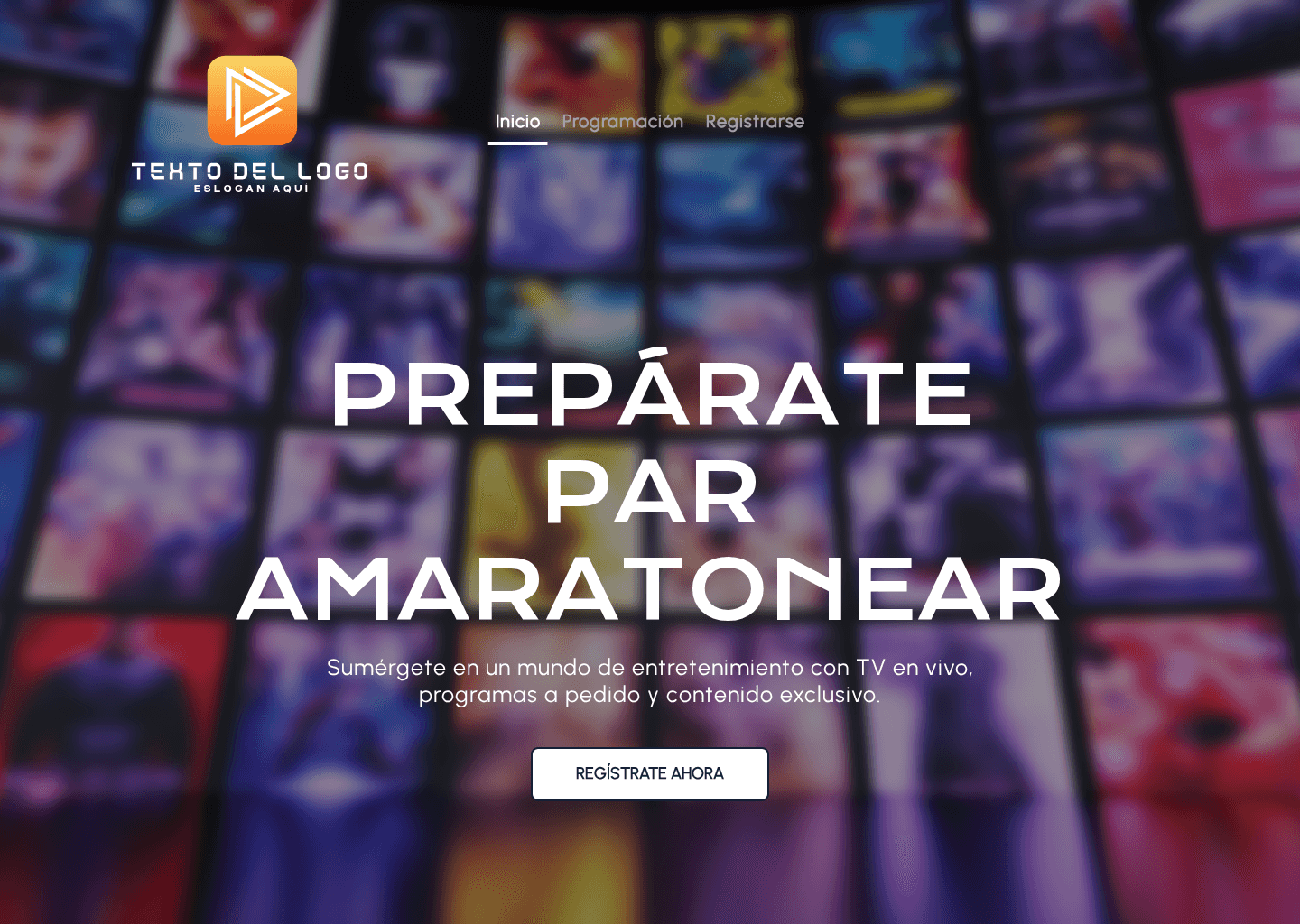 Canal de televisión Website