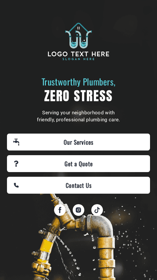 Expert Plumbing Service Link in Bio Preview