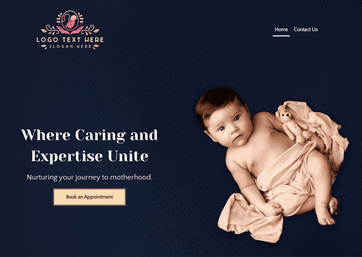 Expert Midwifery Care Website Preview