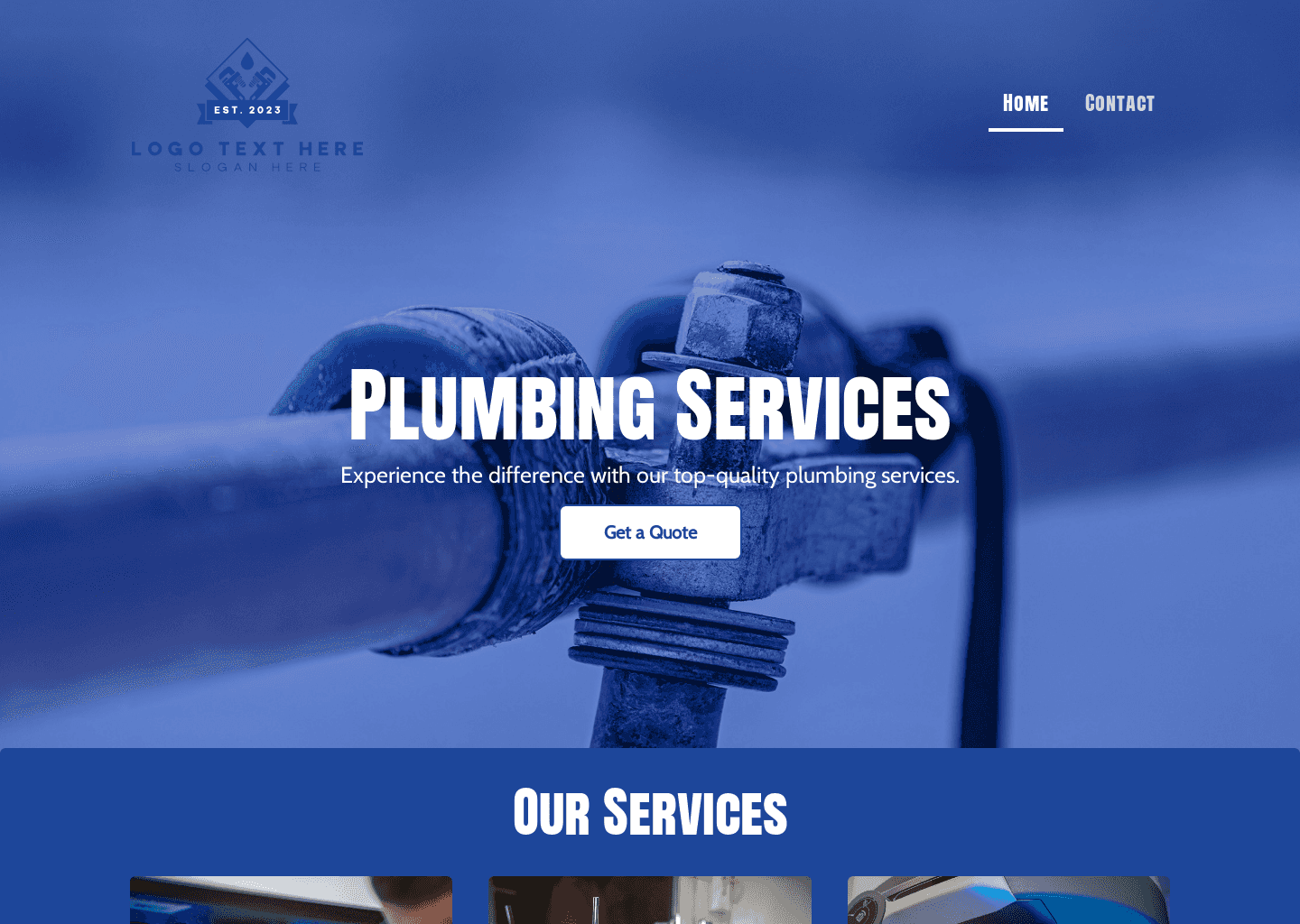 Expert Plumbing Services Website