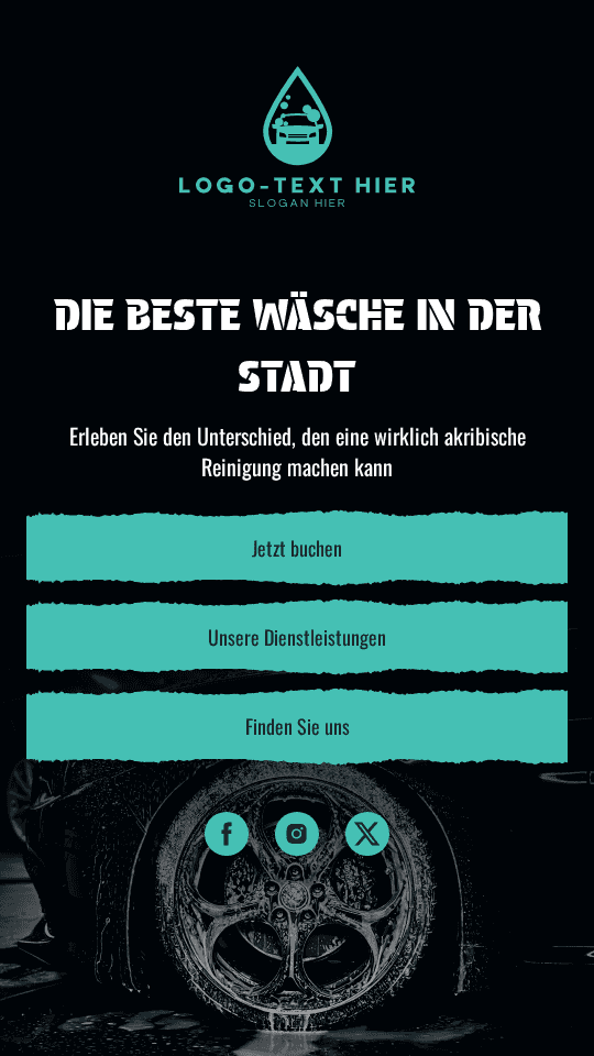 Fahrzeugreinigung Link in Bio