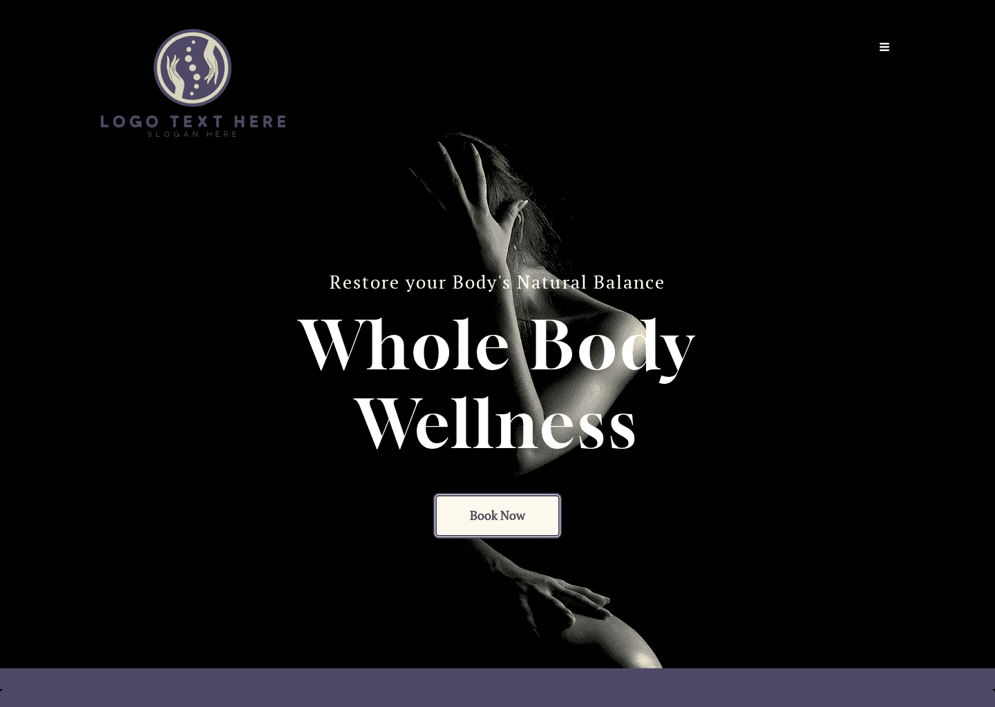 Professional Chiropractic Therapy Website Preview