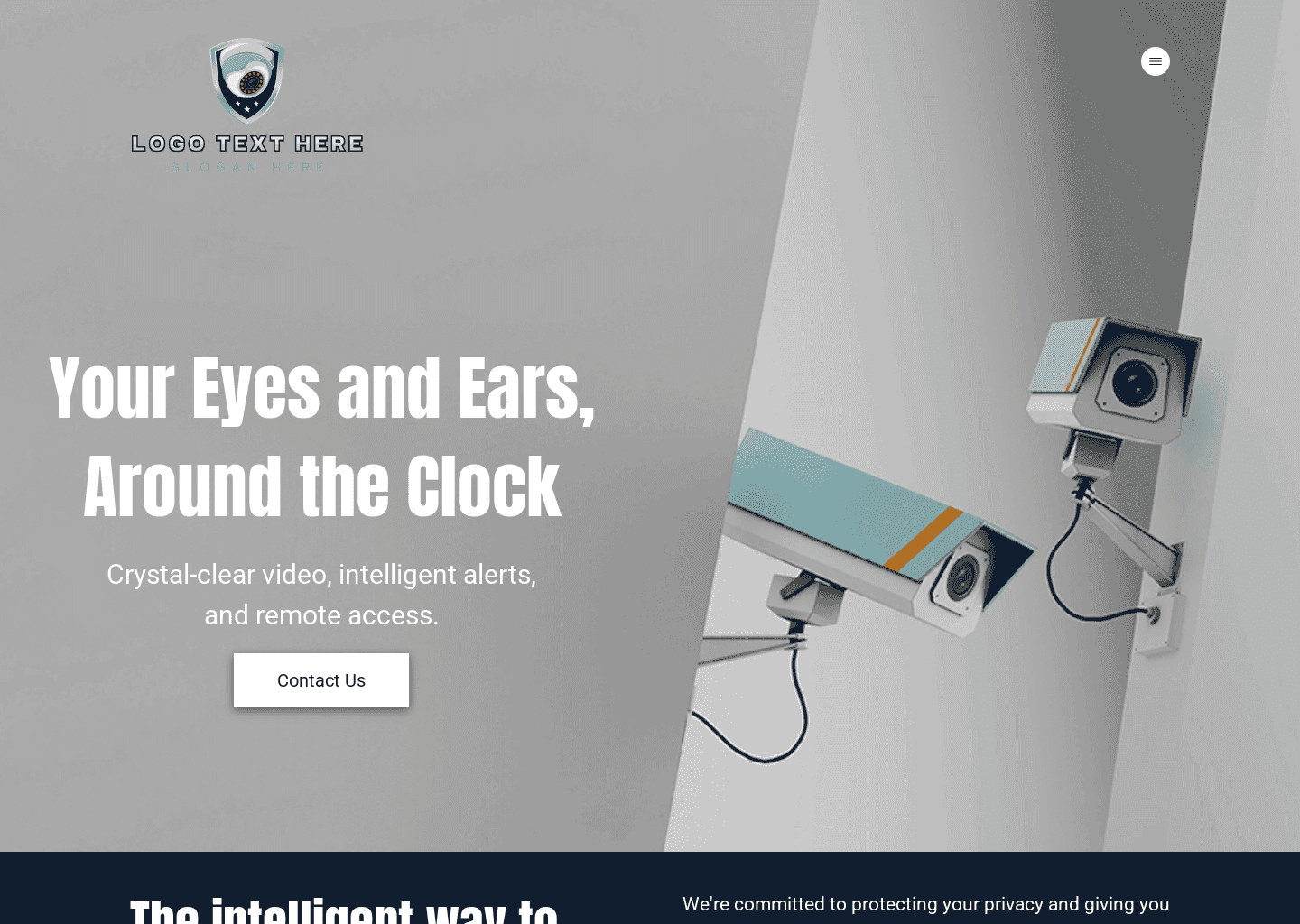 Private CCTV Security Website