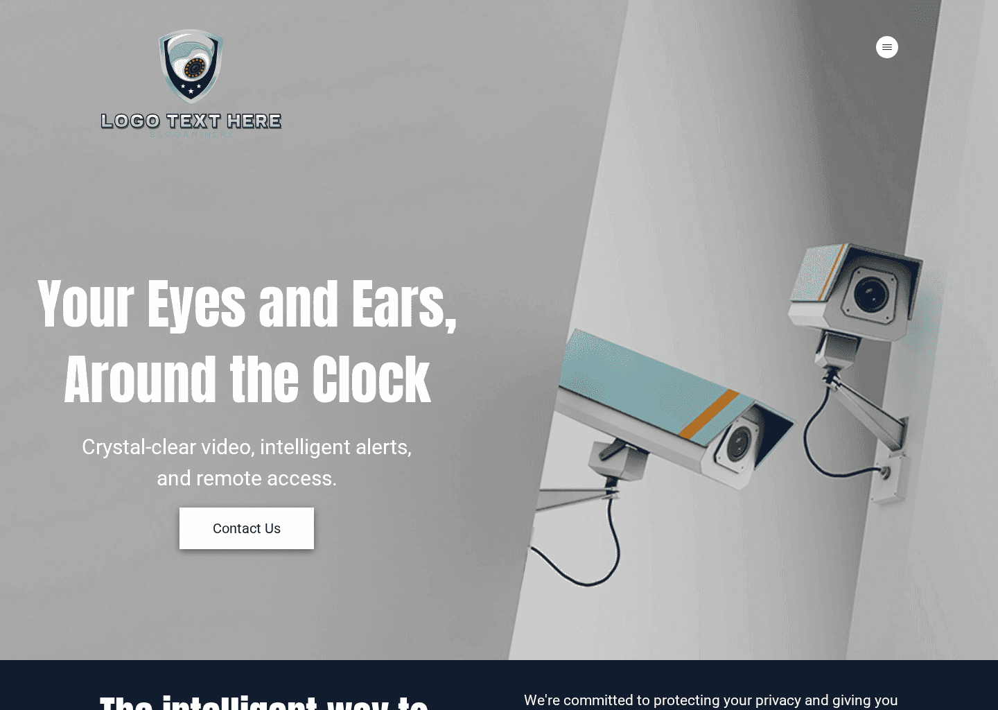 Private CCTV Security Website Preview