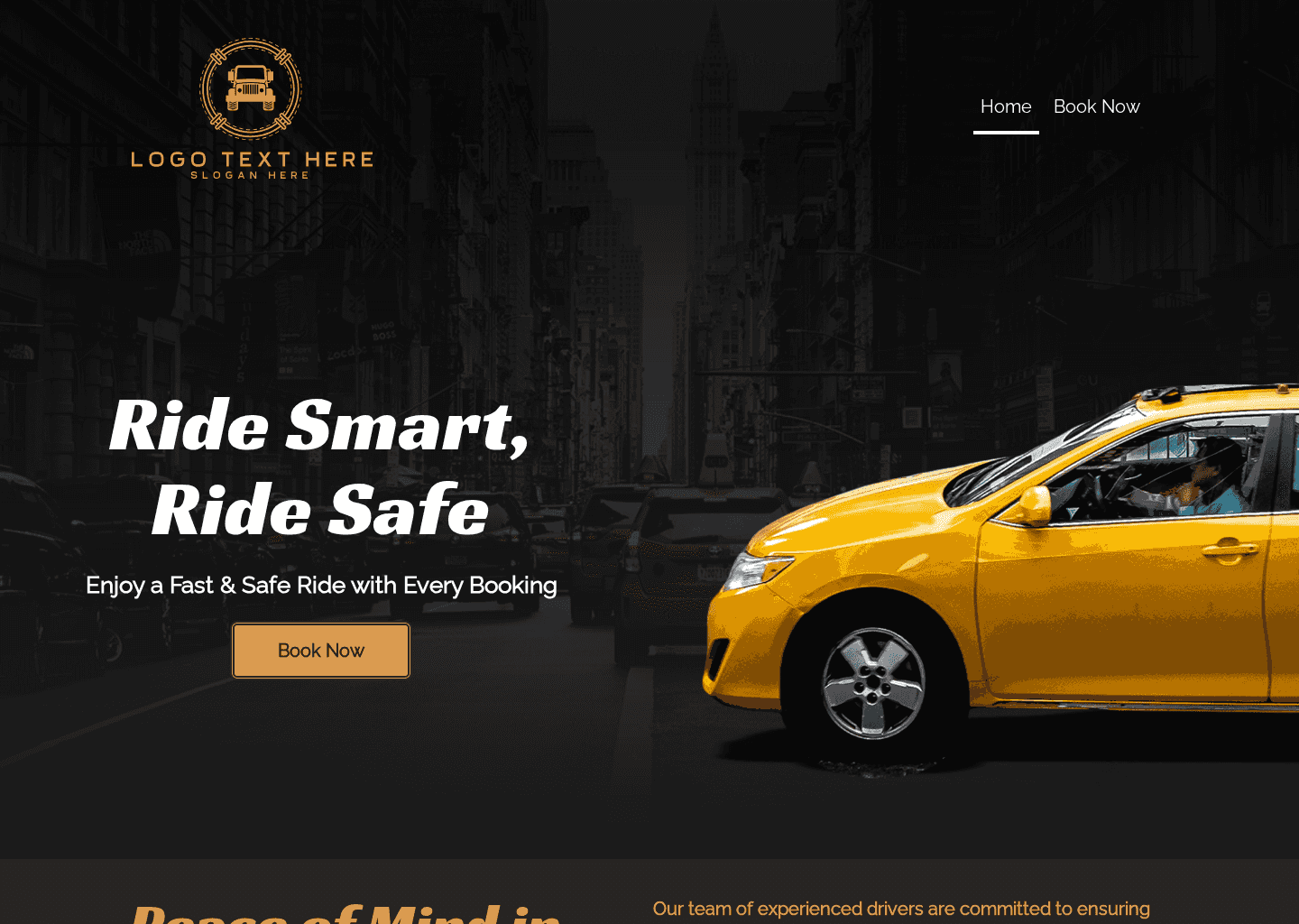 Taxi Cab Transportation Website Preview