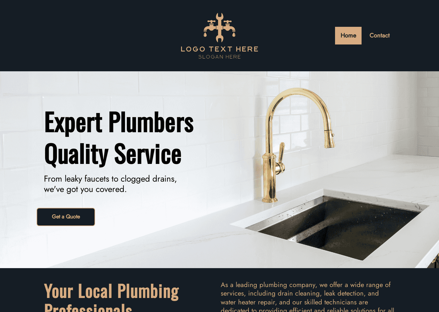 Professional Plumbing Services Website