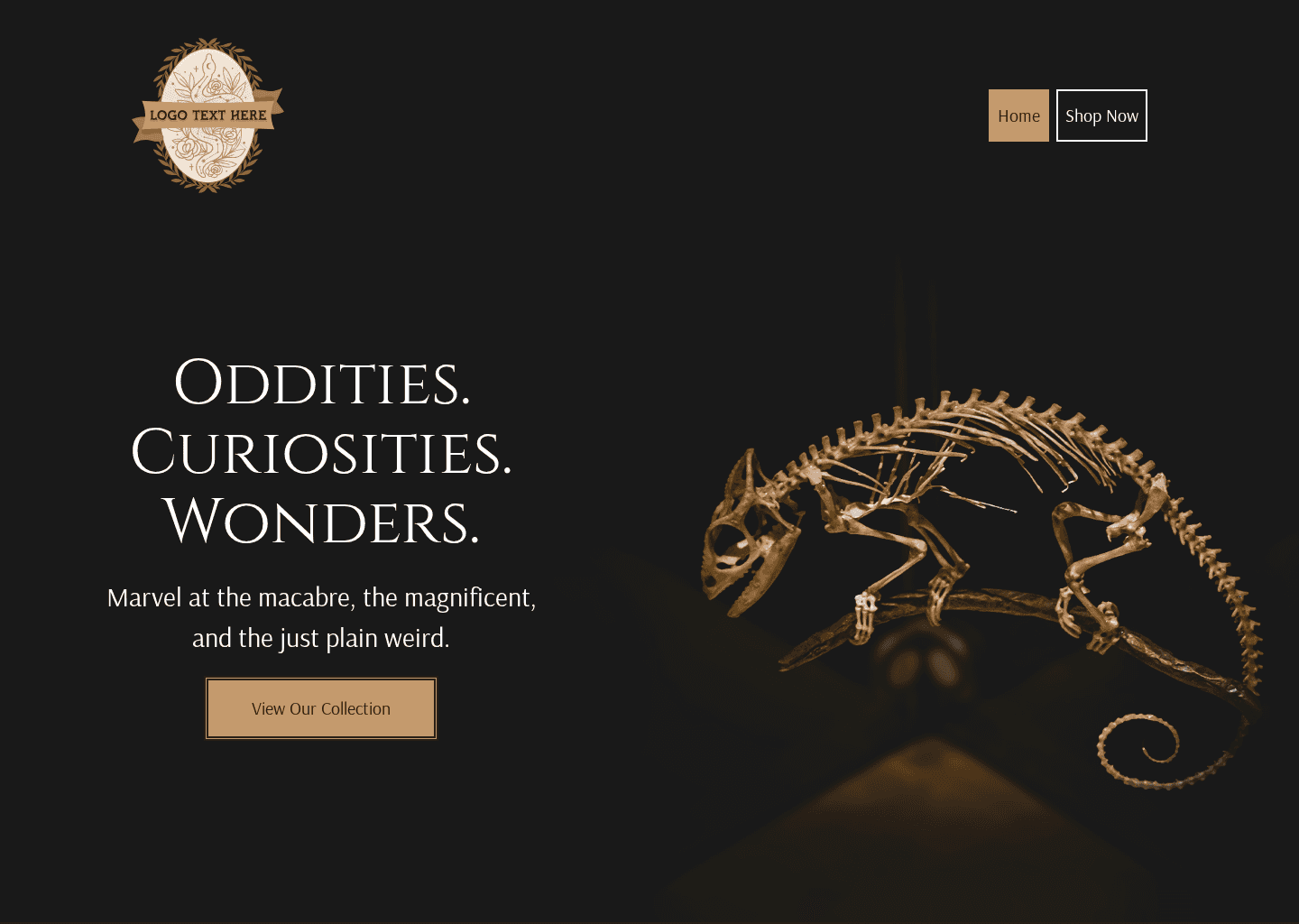 Curious Trinket Shop Website Preview