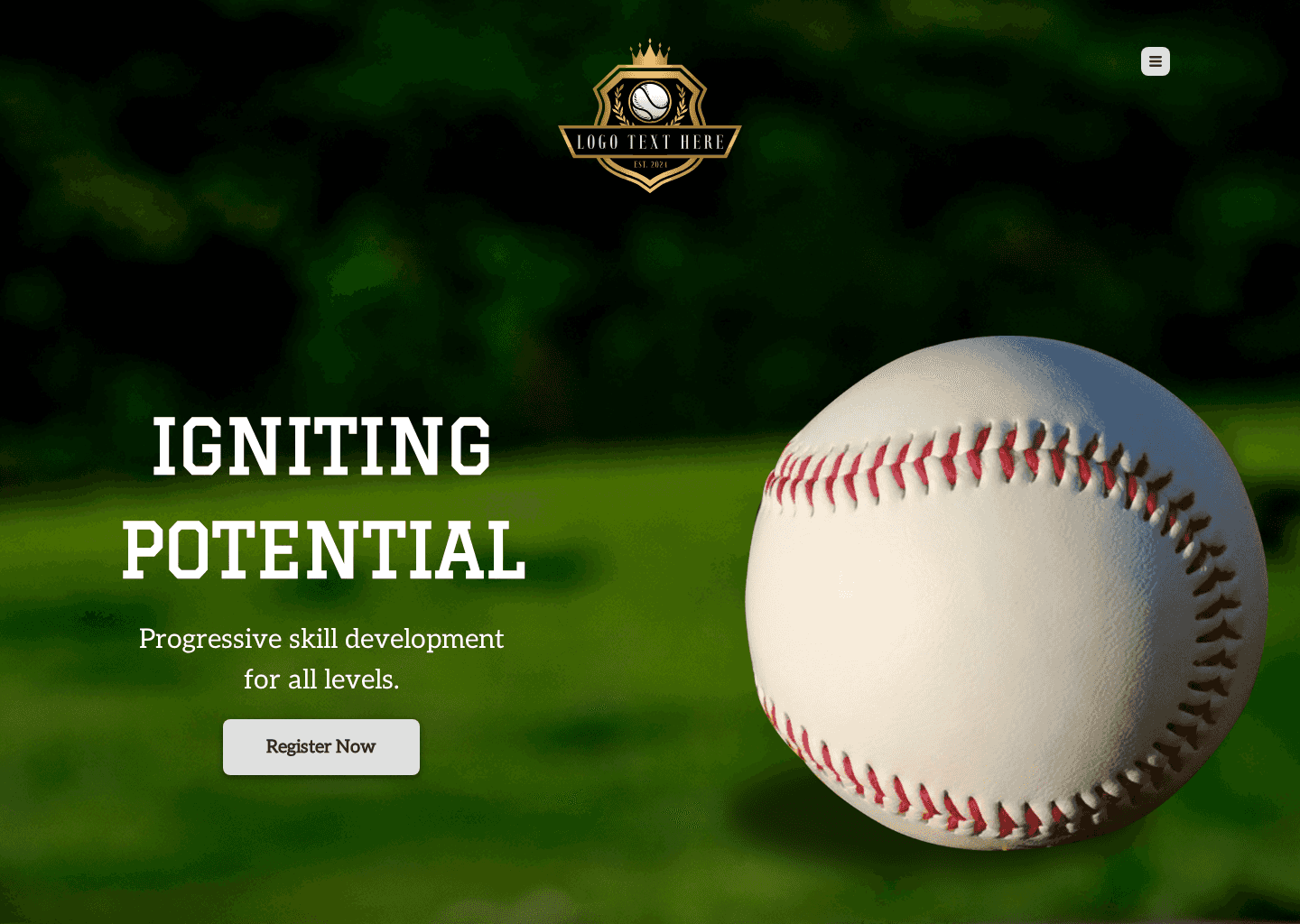 Baseball Skills Development Website Preview
