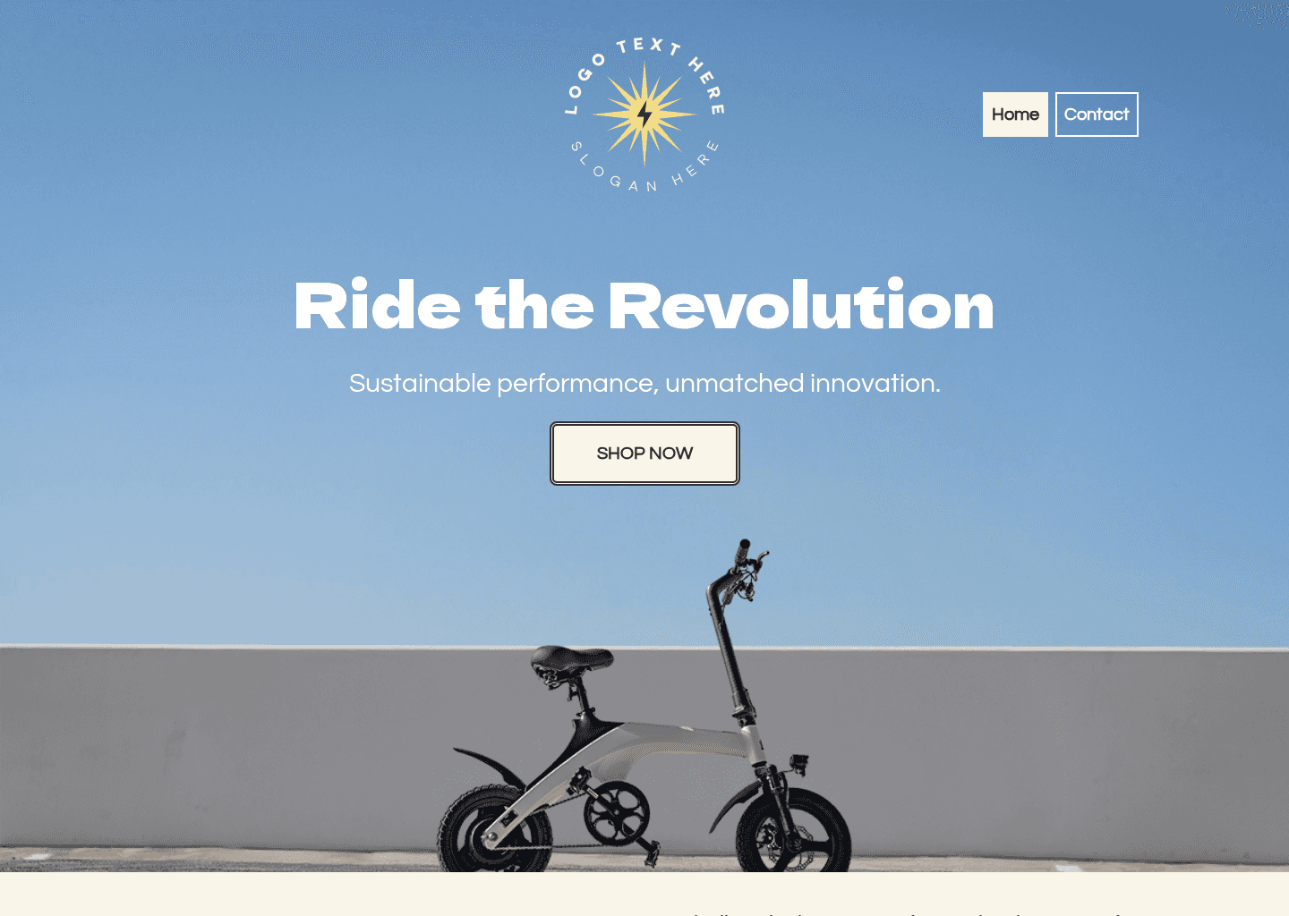 Electric Bike Hub Website Preview