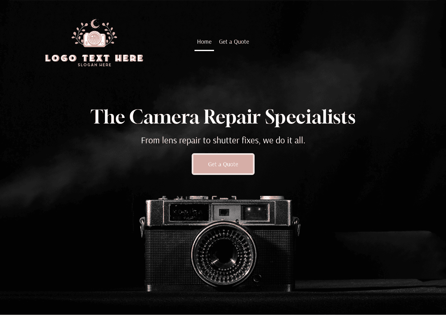 Digital Camera Repair Website Preview