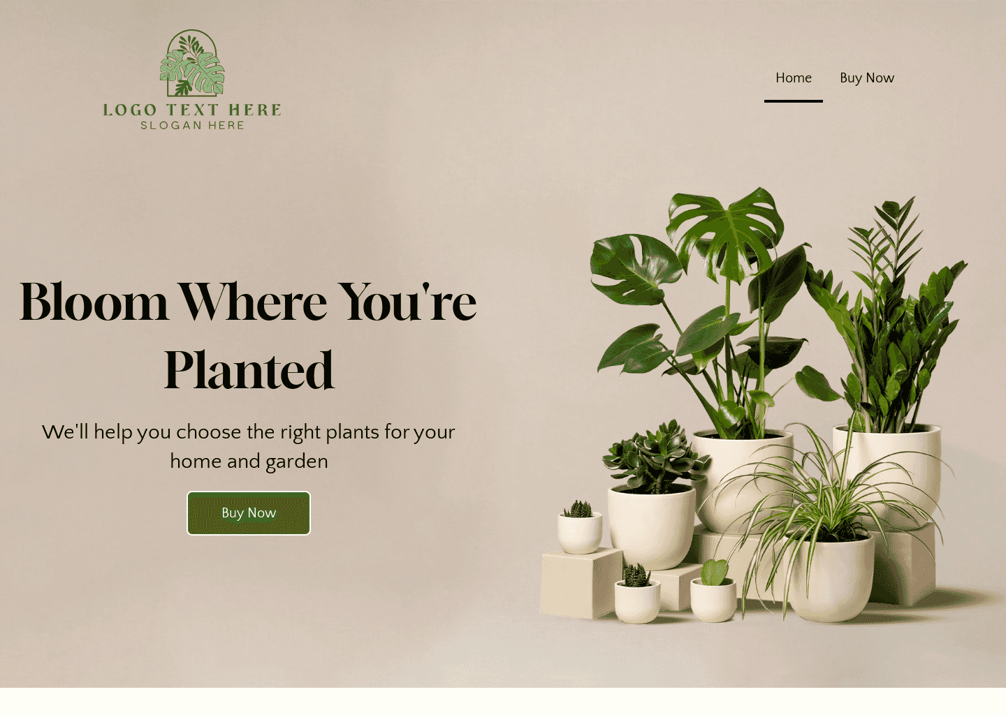 House Plant Shop website design