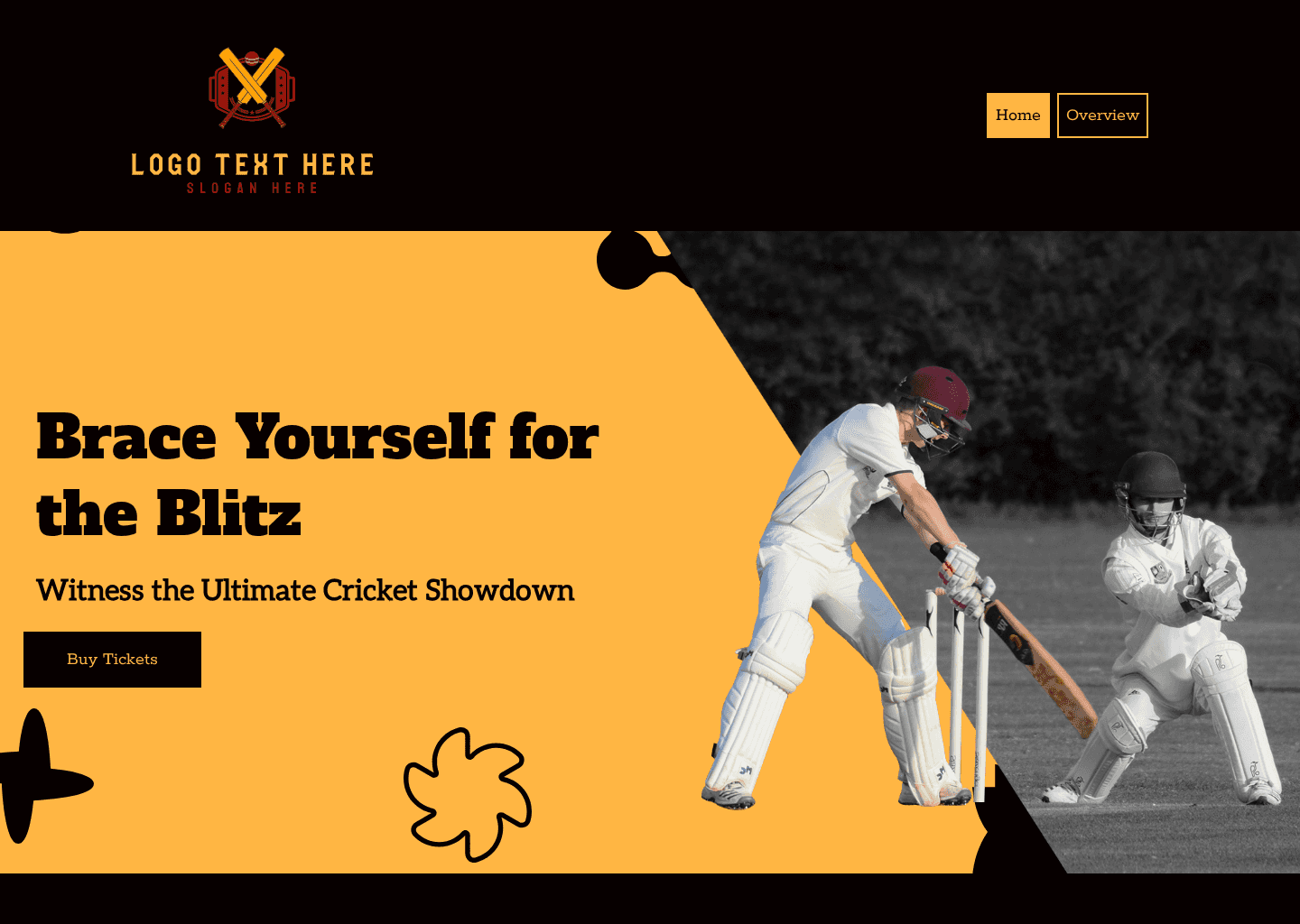 Cricket Tournament Match Website Preview